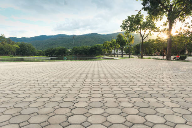 Best Custom Driveway Pavers  in Longbranch, WA